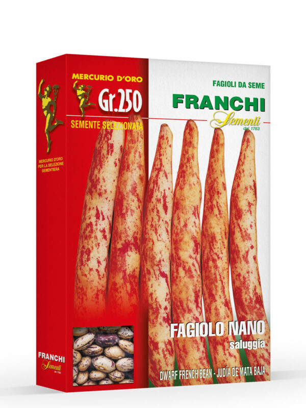 Fagiolo nano Saluggia