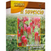 Miscuglio per sovescio. Franchi sementi Golden Line