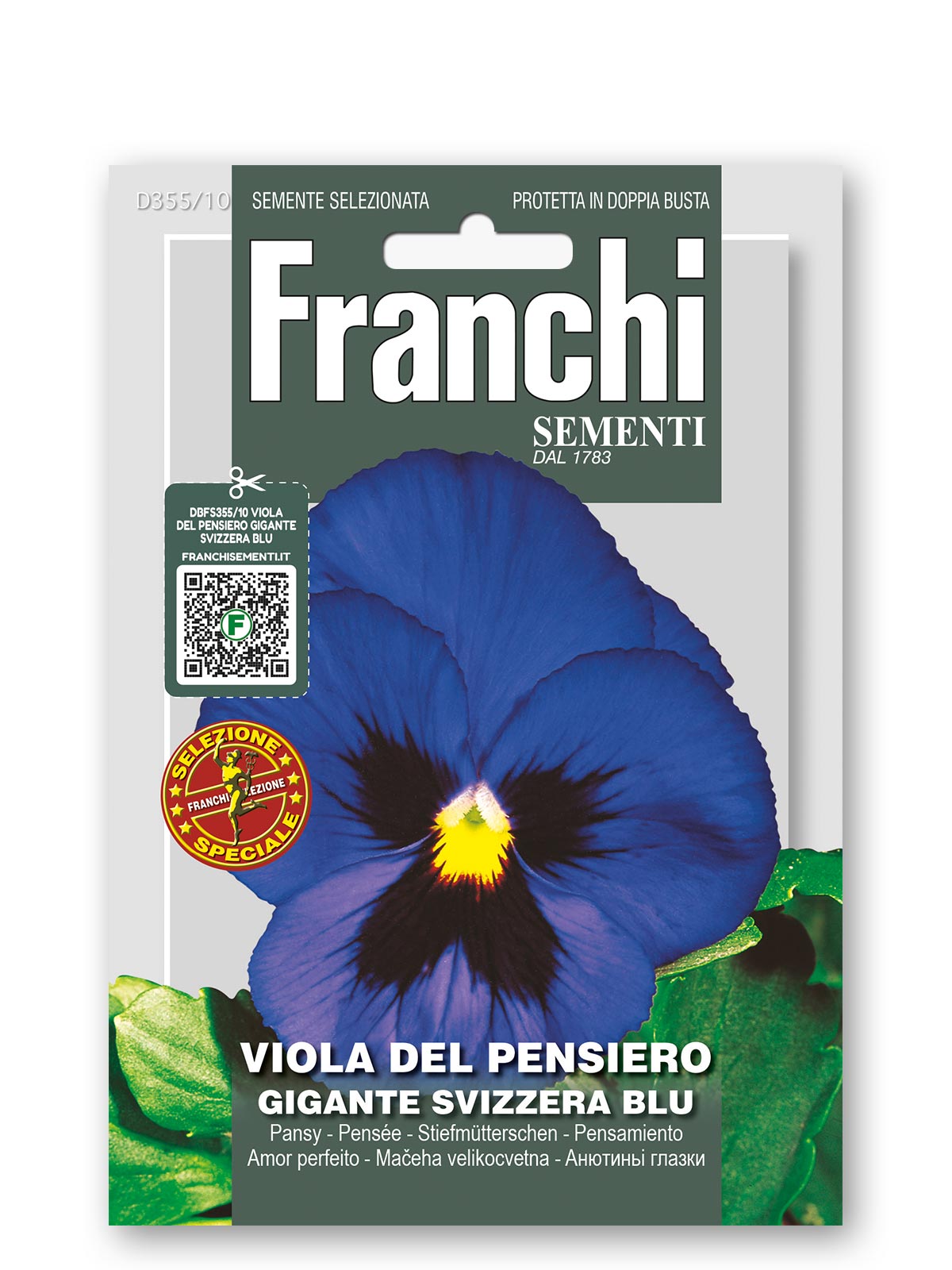 Semi italiani viola del pensiero blu: fiori eduli