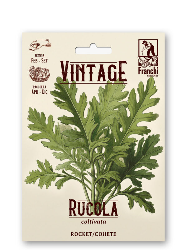 Rucola