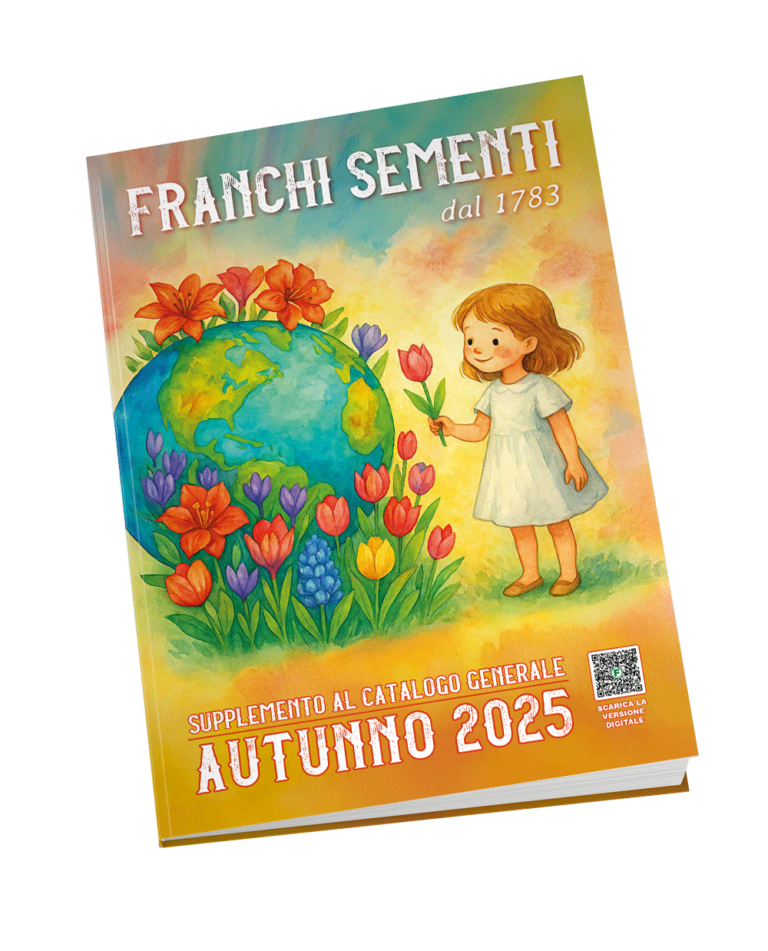 Supplemento autunno 2025