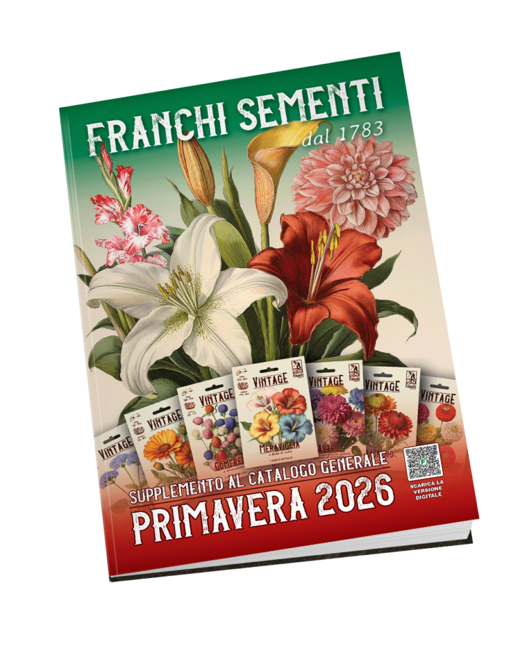 Supplemento Primavera catalogo Franchi 2026