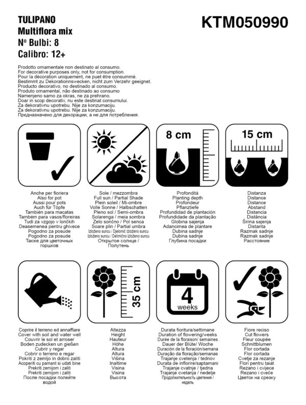 Tulipano multiflora mix