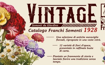 Cartello Fiori Vintage
