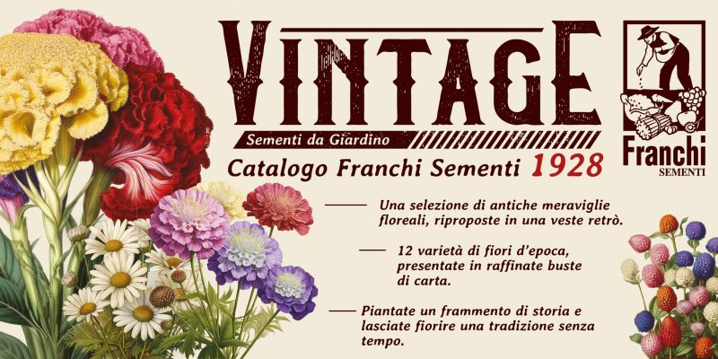 Cartello Fiori Vintage