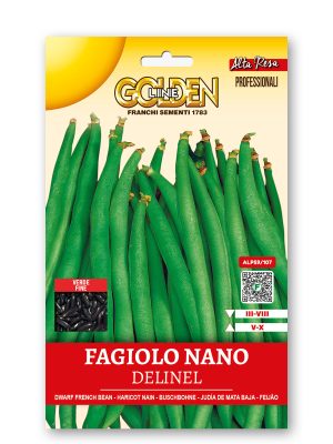 Fagiolo nano Delinel