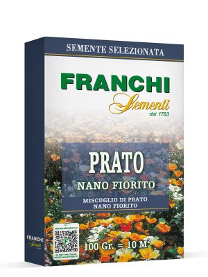 Prato nano fiorito