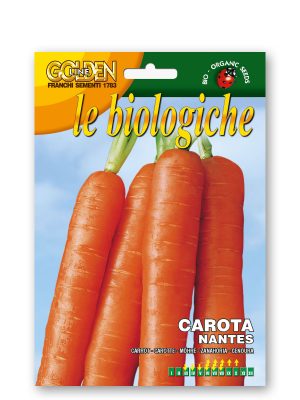 CAROTA NANTESE - Varietà medio-precoce. Radice cilindrica, di media lunghezza e colore rosso-arancio con cuore piccolo.