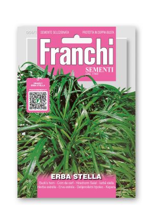 FDBA_54-1