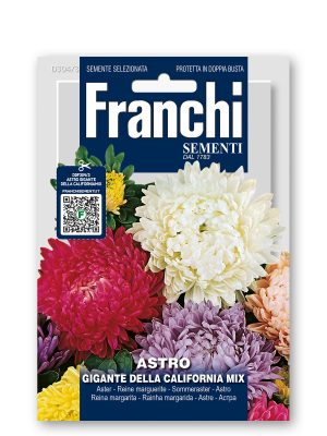 FDBF_304-3