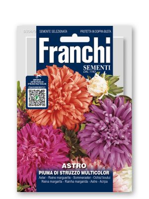 FDBF_304-9