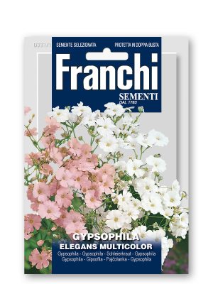 FDBF_331-1