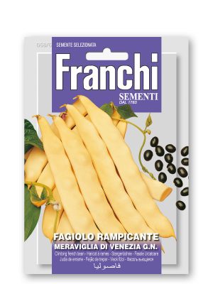 FDBL_58-6