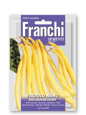 FDBL_60-23