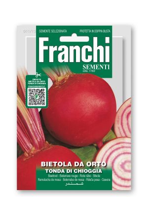 FDBO_11-13