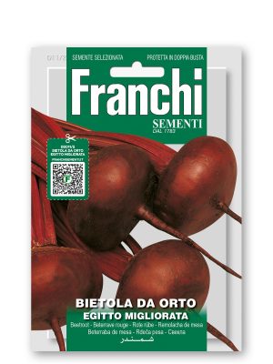 FDBO_11-2