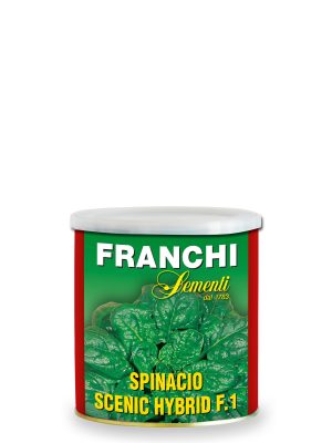 Spinacio Scenic Hybrid