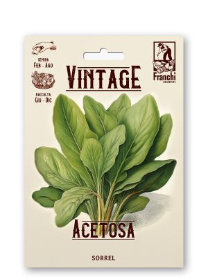 Acetosa
