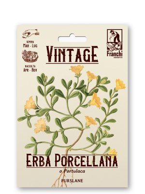 Erba porcellana