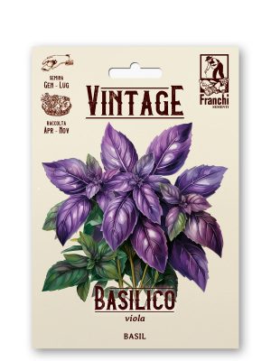 Basilico viola
