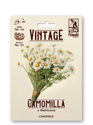 Camomilla