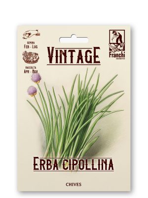 Erba cipollina