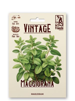Maggiorana