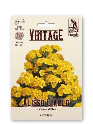 Alisso nano o Cesta d'oro Franchi Sementi
