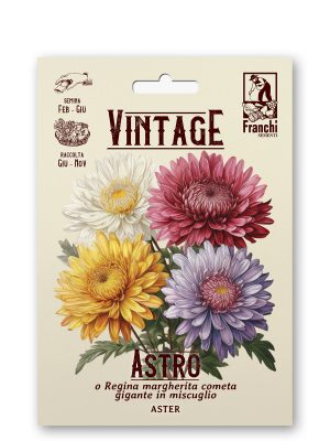 Astro princesse multicolor