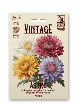 Astro princesse multicolor