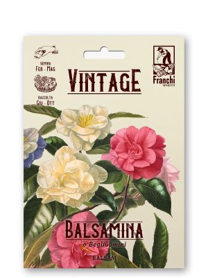 Balsamina a fior di camelia