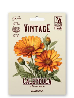 Calendula