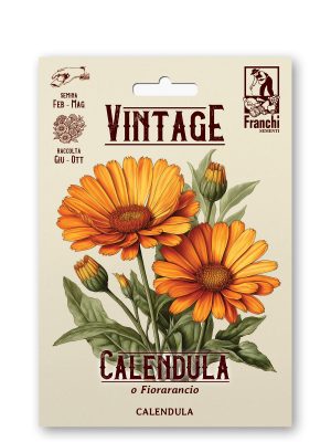 Calendula