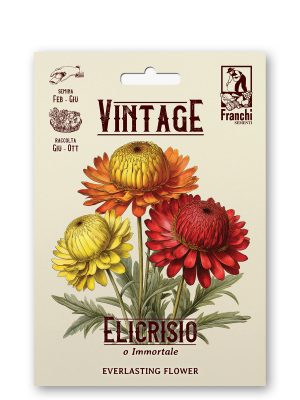 elicrisio multicolor