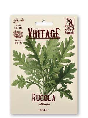 Rucola