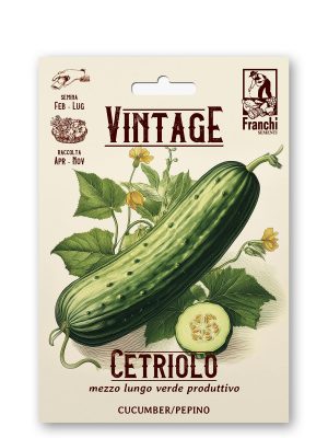 Cetriolo marketmore