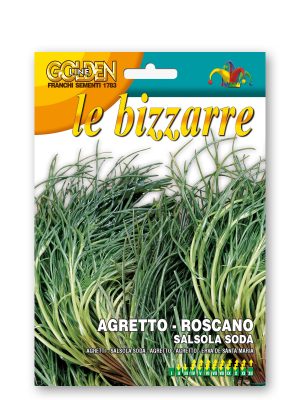 AGRETTO O ROSCANO, o anche Barba dei Frati