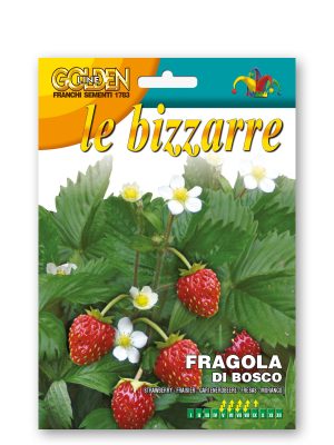 FGLBZ63-3