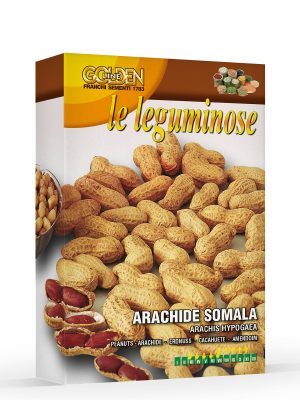 Golden Line Franchi Sementi. Arachide somala.