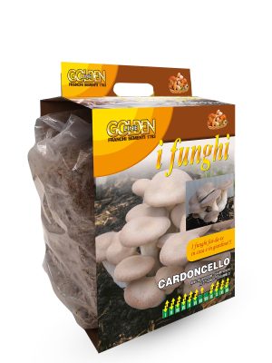 Funghi pronti in pack - Cardoncello