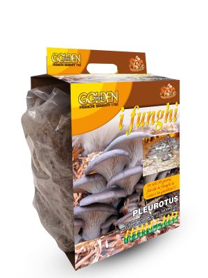 PLEOROTUS - Funghi pronti in pack