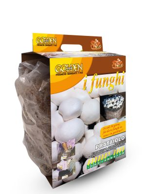 Fungo Prataiolo - Funghi pronti in pack - Golden line Franchi Sementi