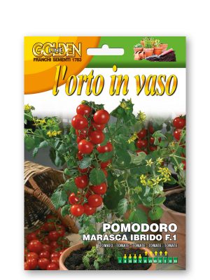 POMODORO MARASCA IBRIDO F.1