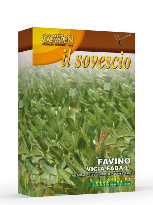 favino da sovescio. Franchi Sementi. Golden Line