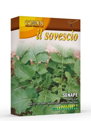 Senape bianca da sovescio