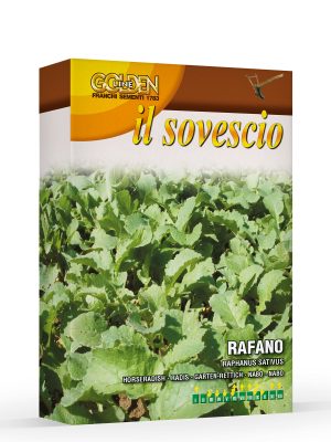 Rafano da sovescio. Franchi Sementi. Golden Line