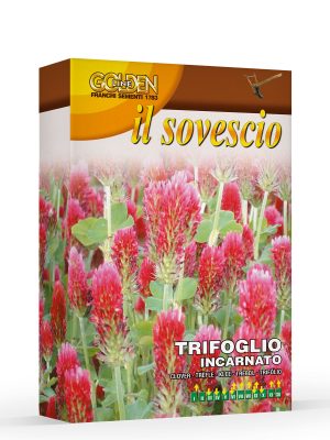 Sovescio - Trifoglio incarnato