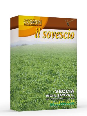 Sovescio - Veccia comune / Veccia sativa
