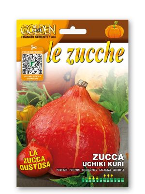 zucca uchiki kuri