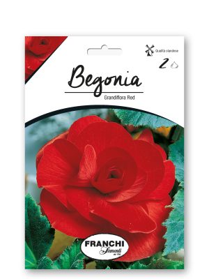 FKBG_061980